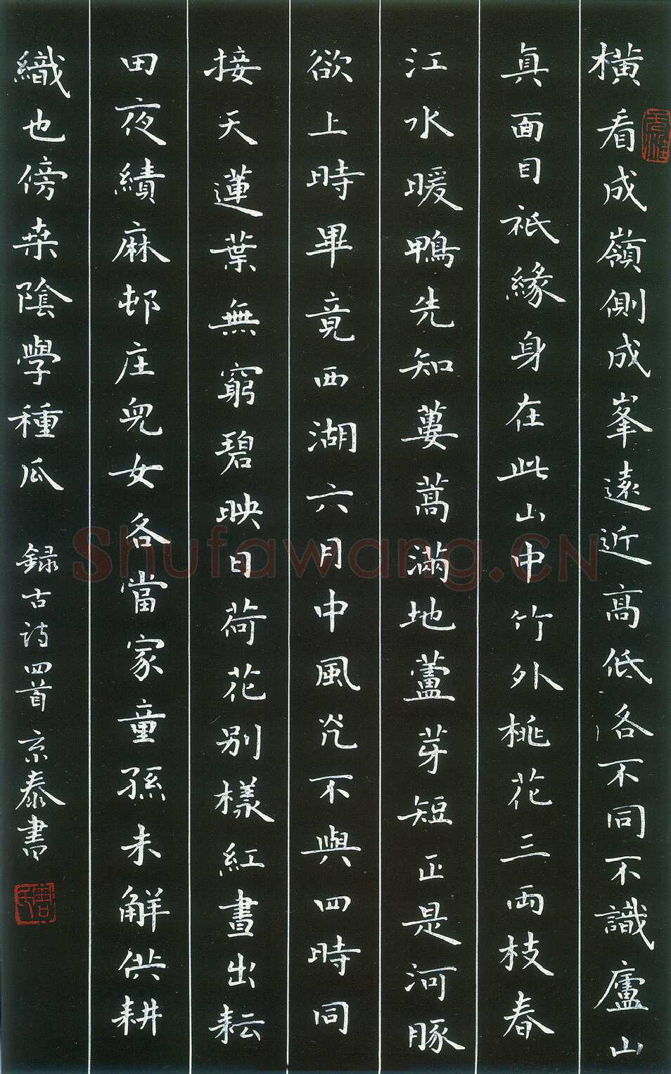周京泰硬笔楷书吴文英词高阳台 硬笔书法作品欣赏