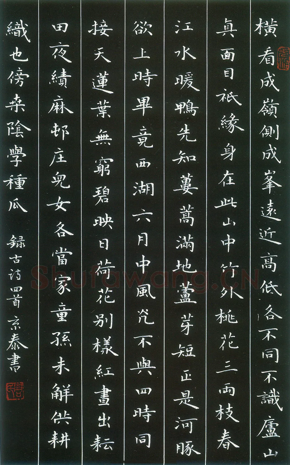 周京泰硬笔楷书吴文英词高阳台 硬笔书法作品欣赏