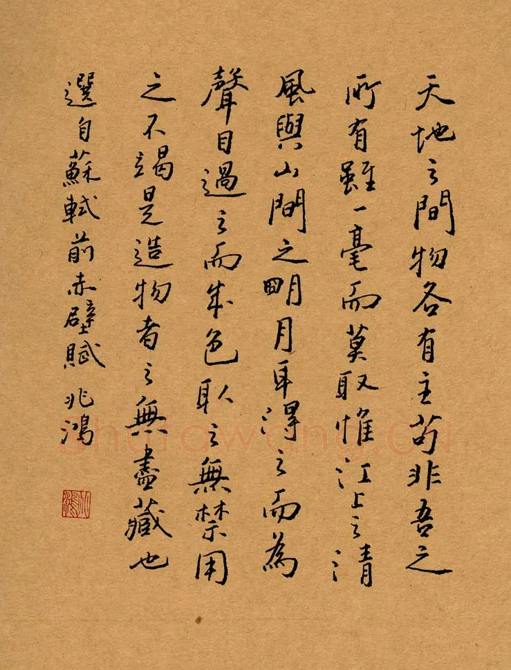 况兆鸿硬笔行书苏轼前赤壁赋节选,况兆鸿硬笔书法作品