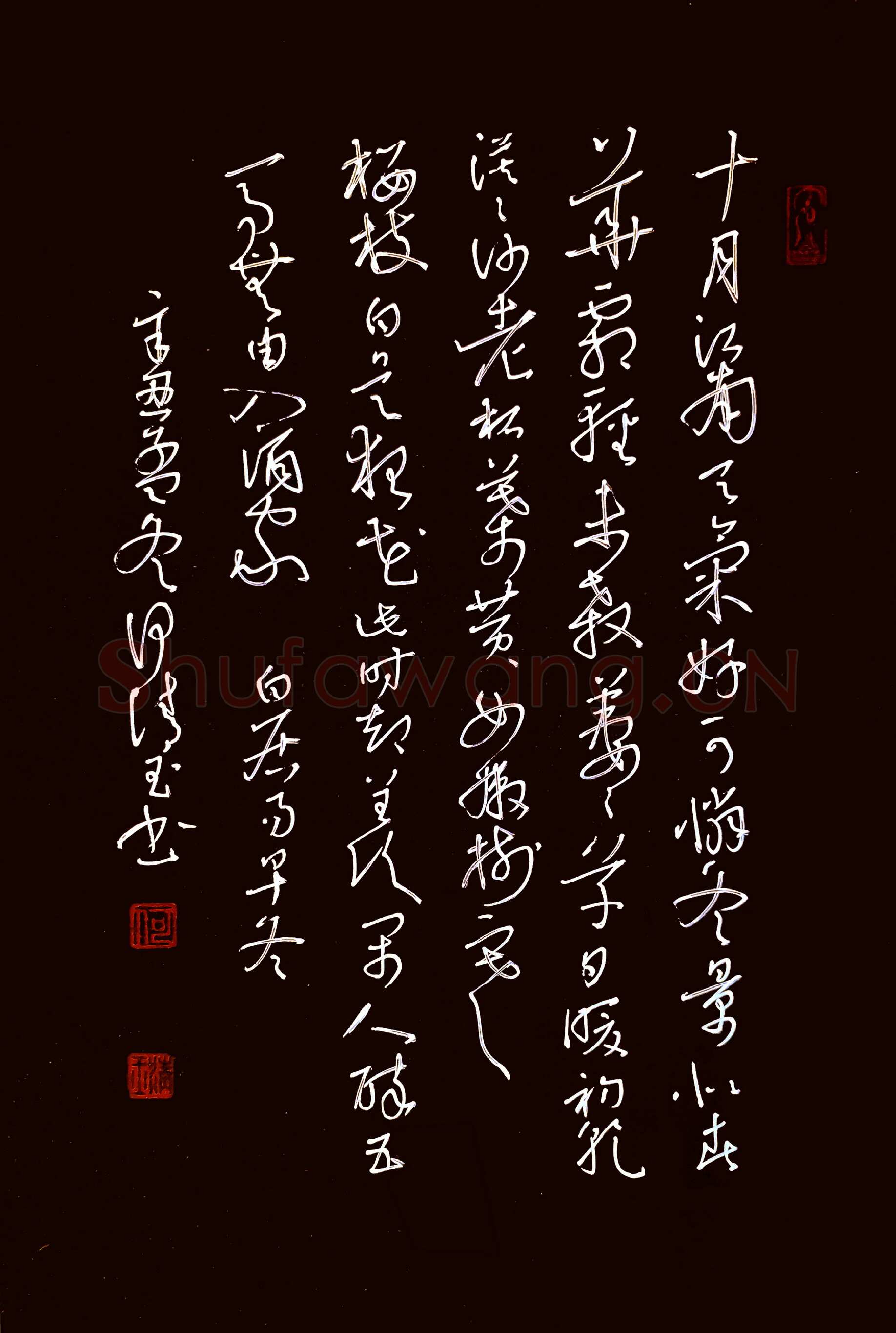 何清玉硬笔草书白居易诗早冬,何清玉硬笔书法作品