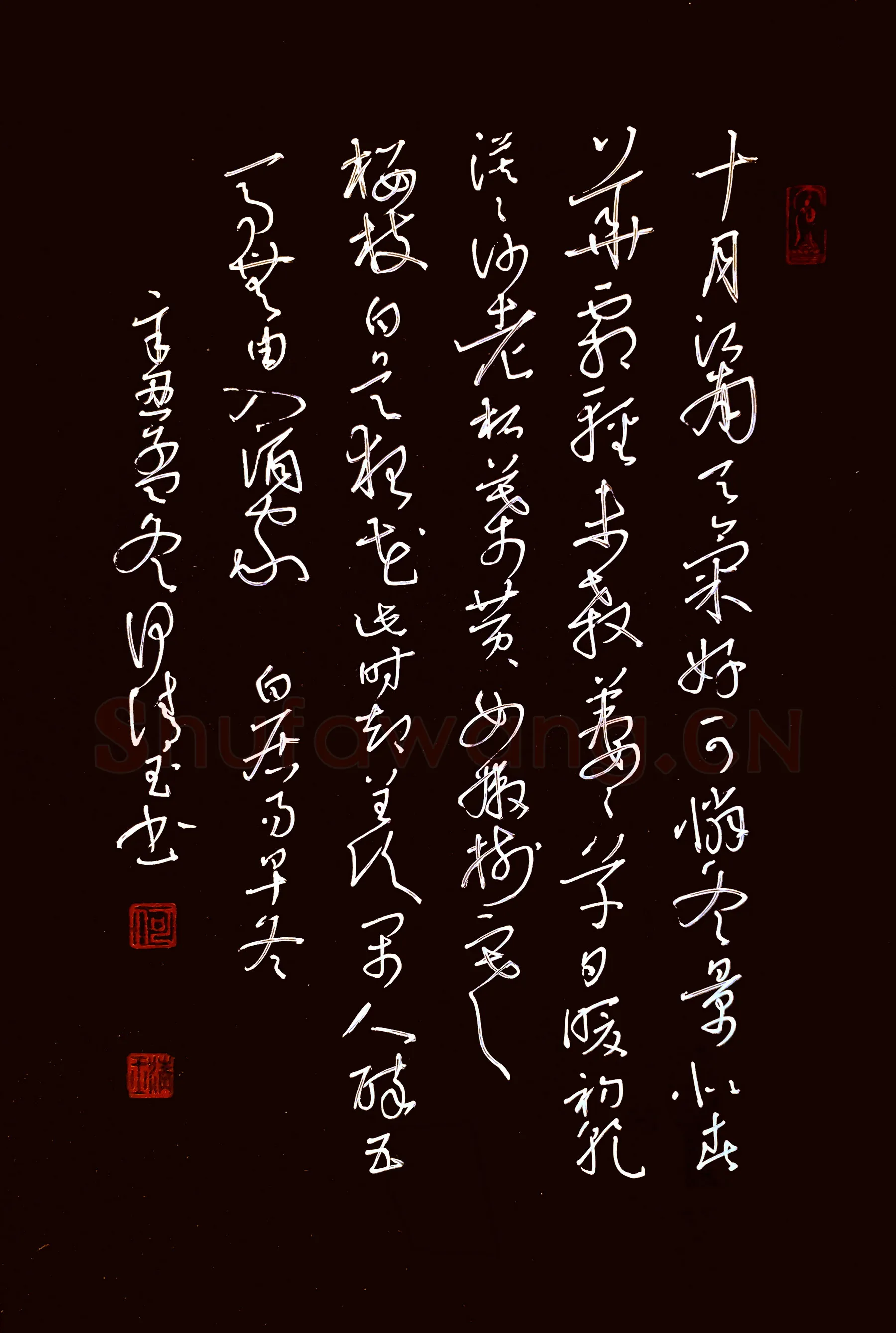 何清玉硬笔草书白居易诗早冬,何清玉硬笔书法作品