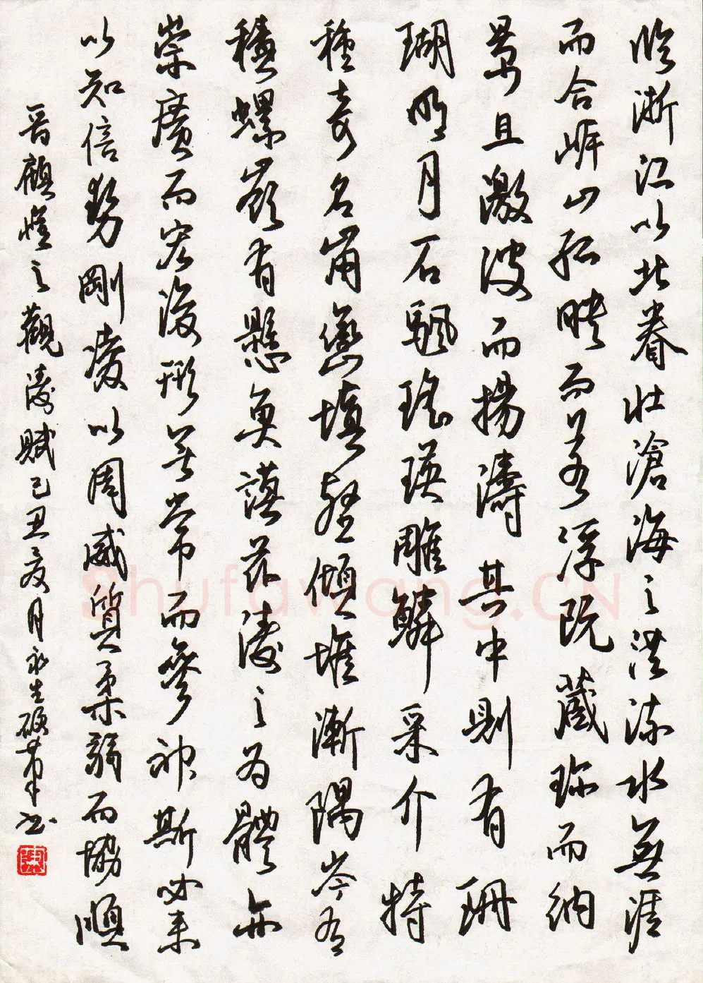 陈永生硬笔行书顾恺之观涛赋,陈永生硬笔书法作品