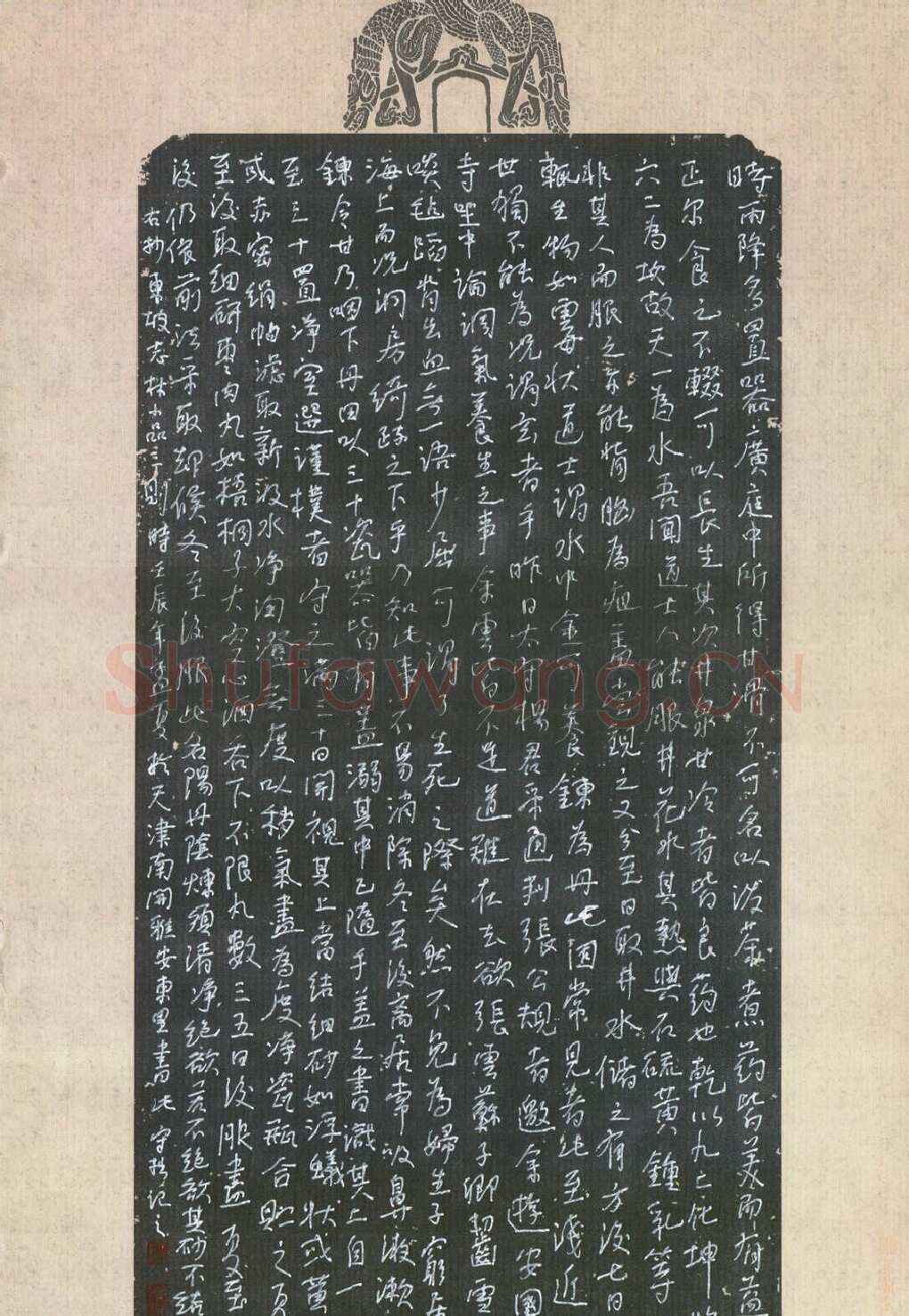严敏灵硬笔行书东坡志林小品三则,严敏灵硬笔书法作品