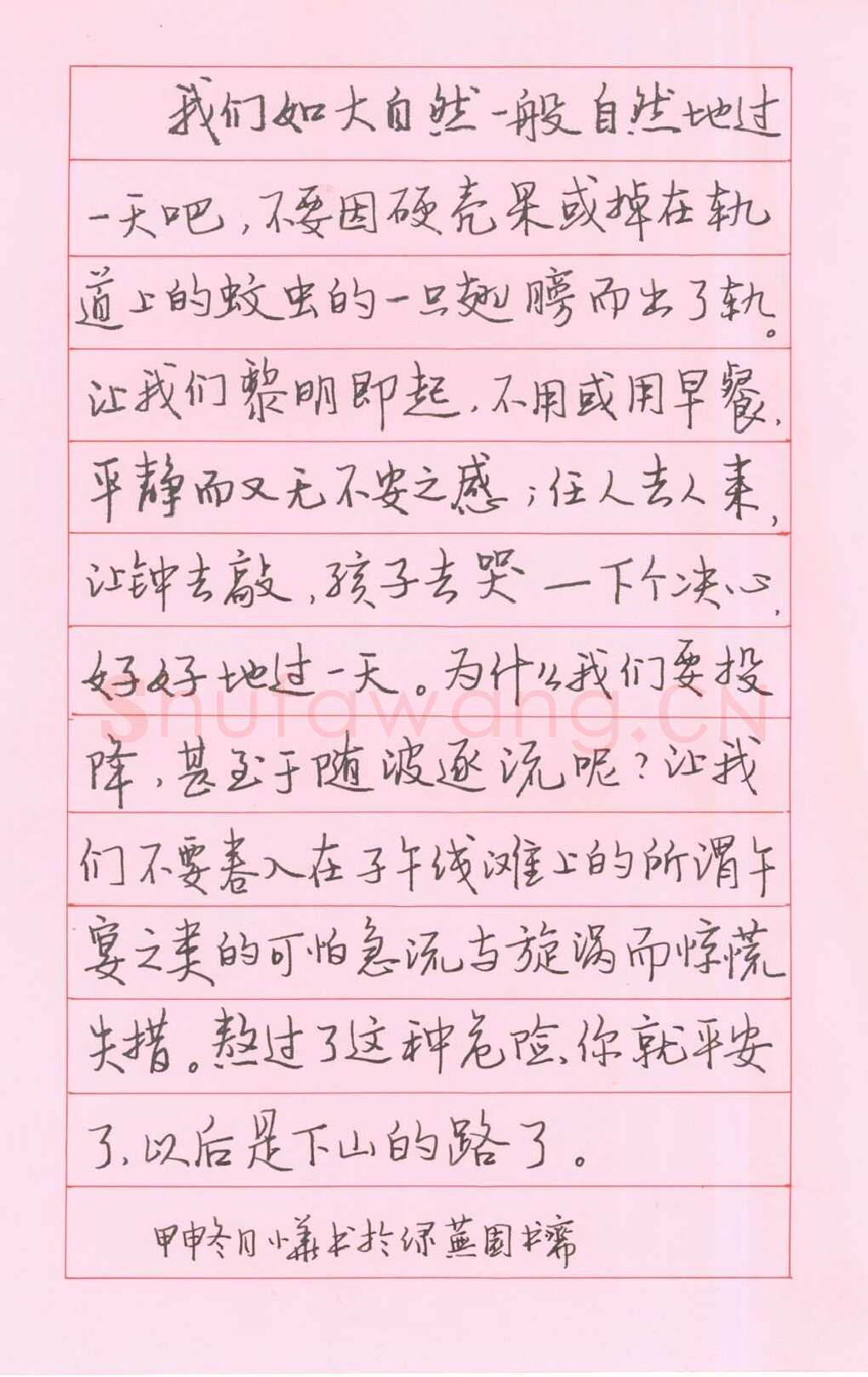 王小华硬笔行书散文选抄,王小华硬笔书法作品