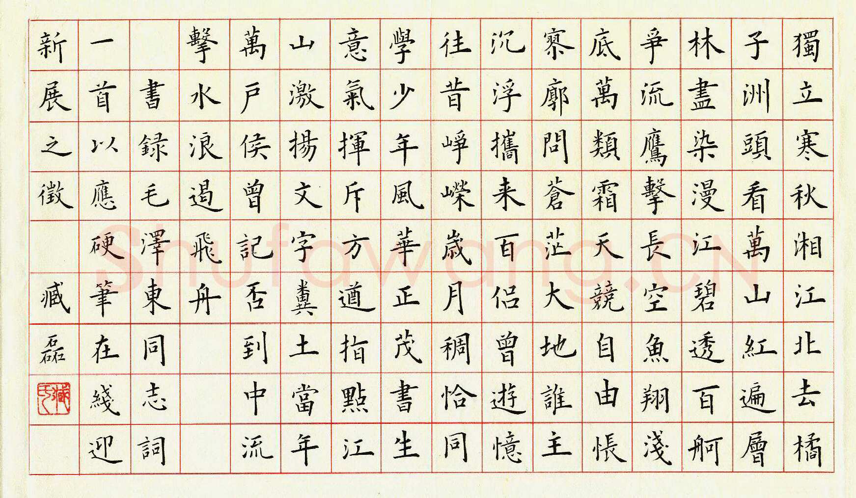 臧磊硬笔楷书毛泽东词一首,臧磊硬笔书法作品