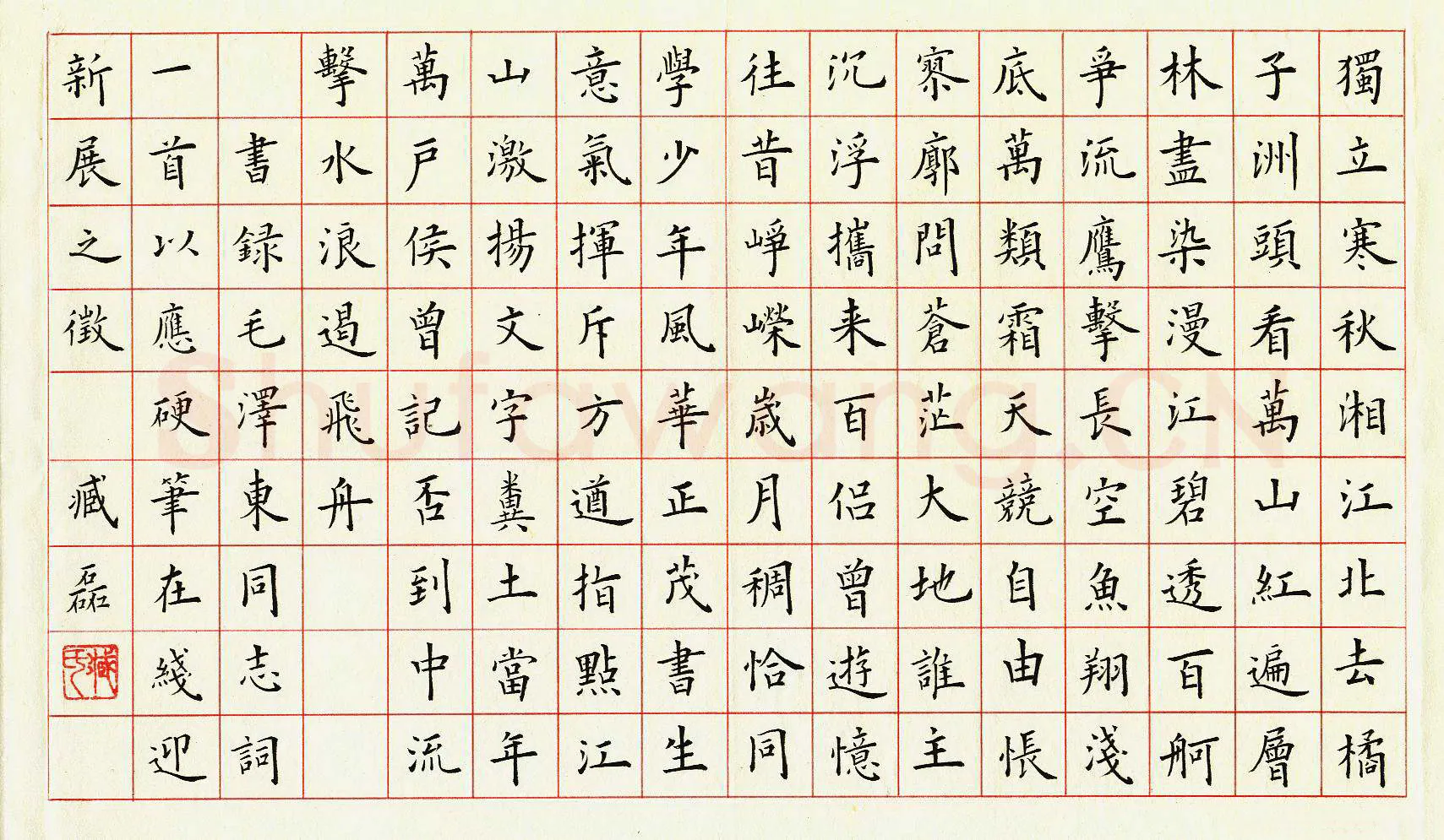 臧磊硬笔楷书毛泽东词一首,臧磊硬笔书法作品