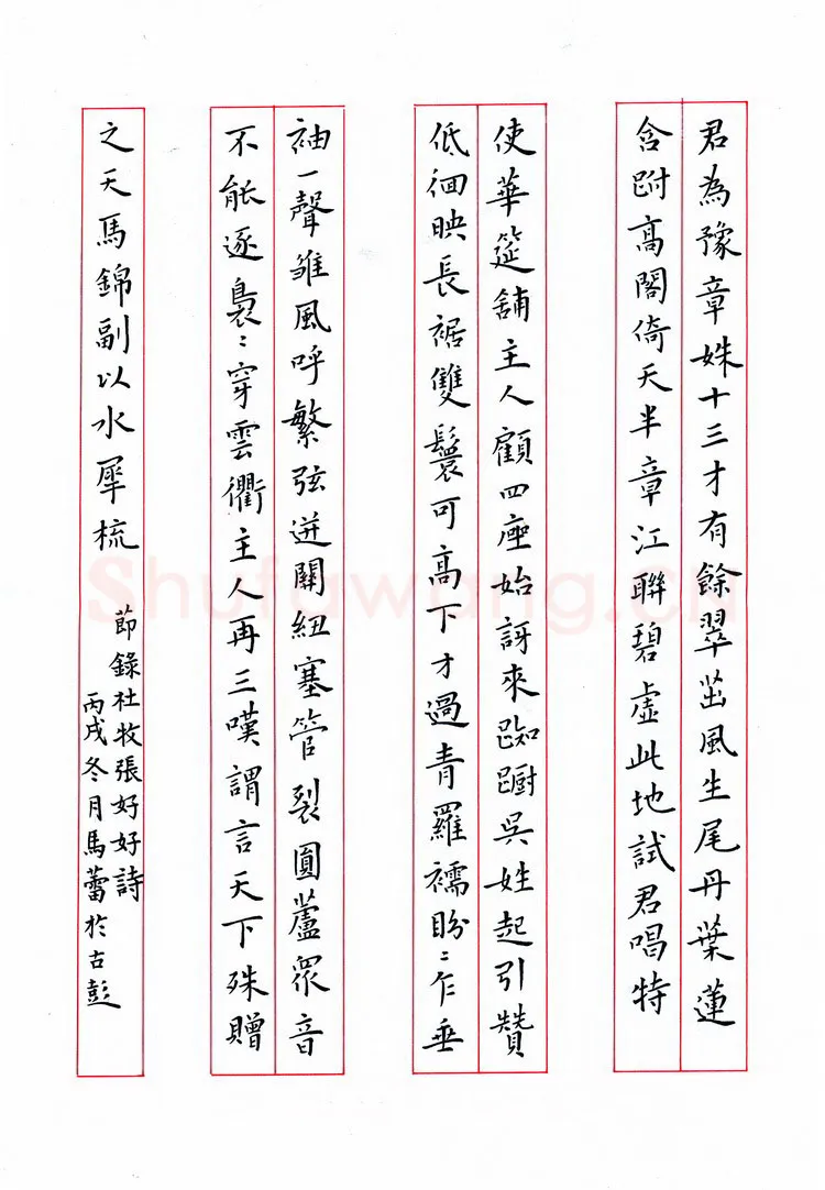 马蕾硬笔楷书节录杜牧张好好诗,马蕾硬笔书法作品
