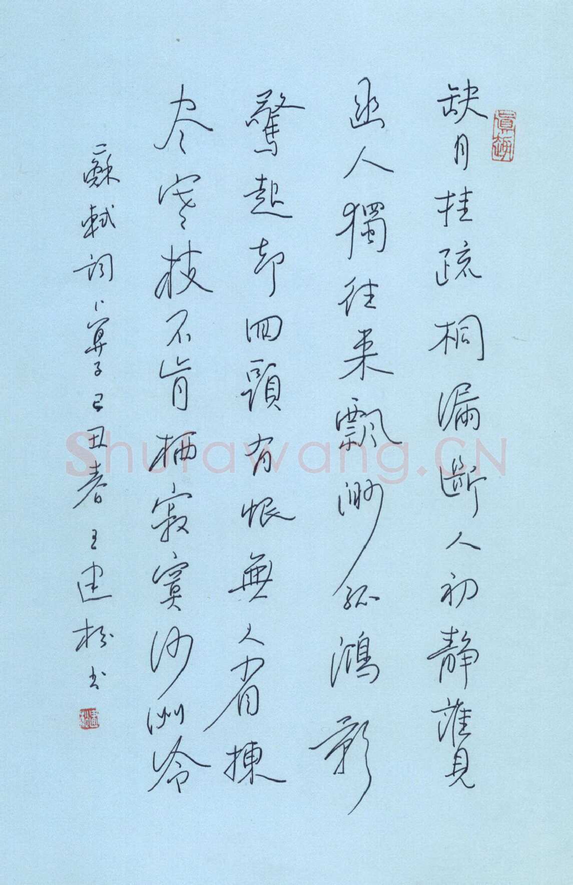 王建松硬笔行书苏轼词卜算子,王建松硬笔书法作品