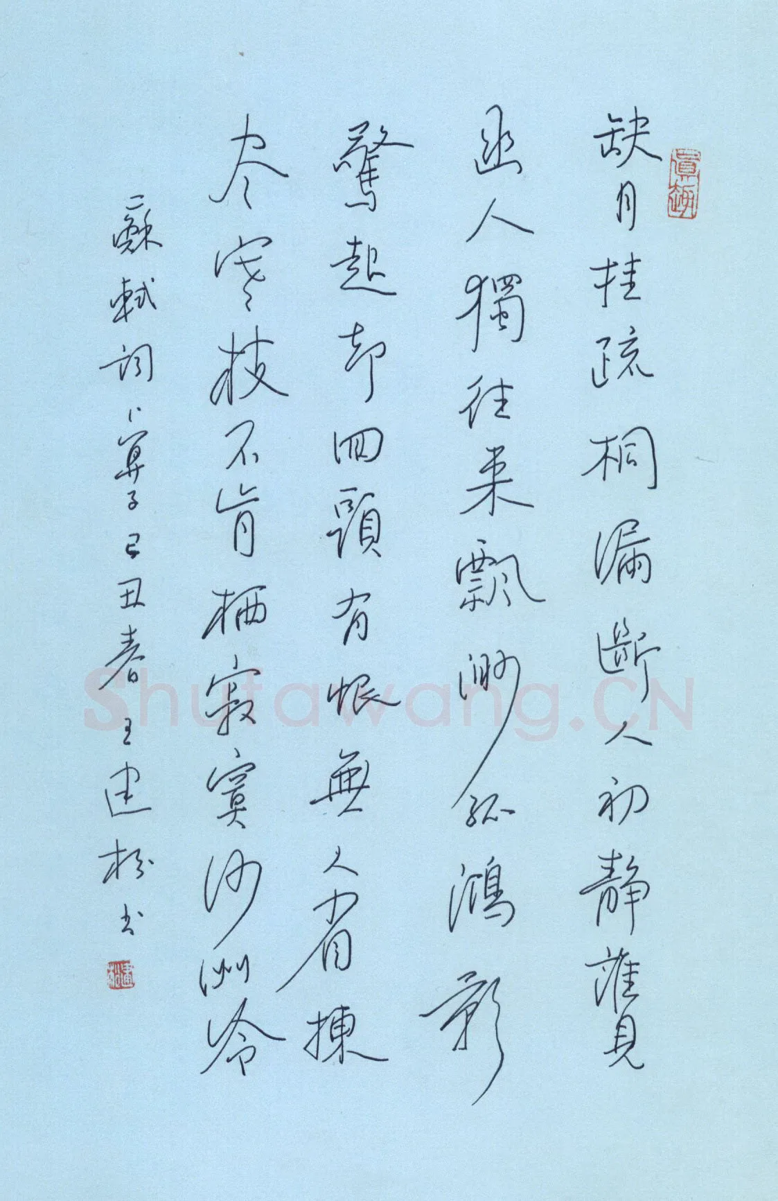 王建松硬笔行书苏轼词卜算子,王建松硬笔书法作品