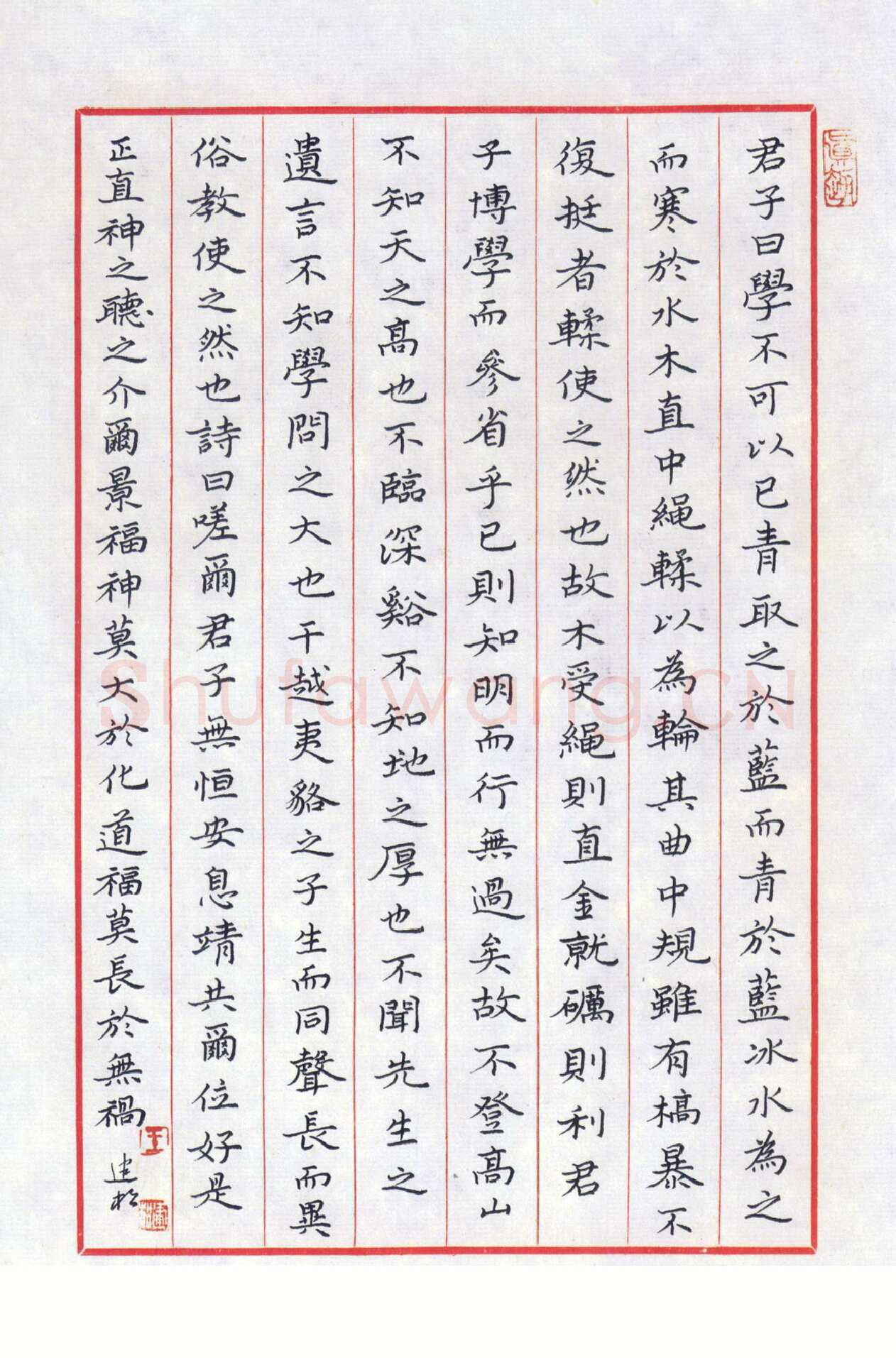 王建松硬笔楷书荀子劝学,王建松硬笔书法作品