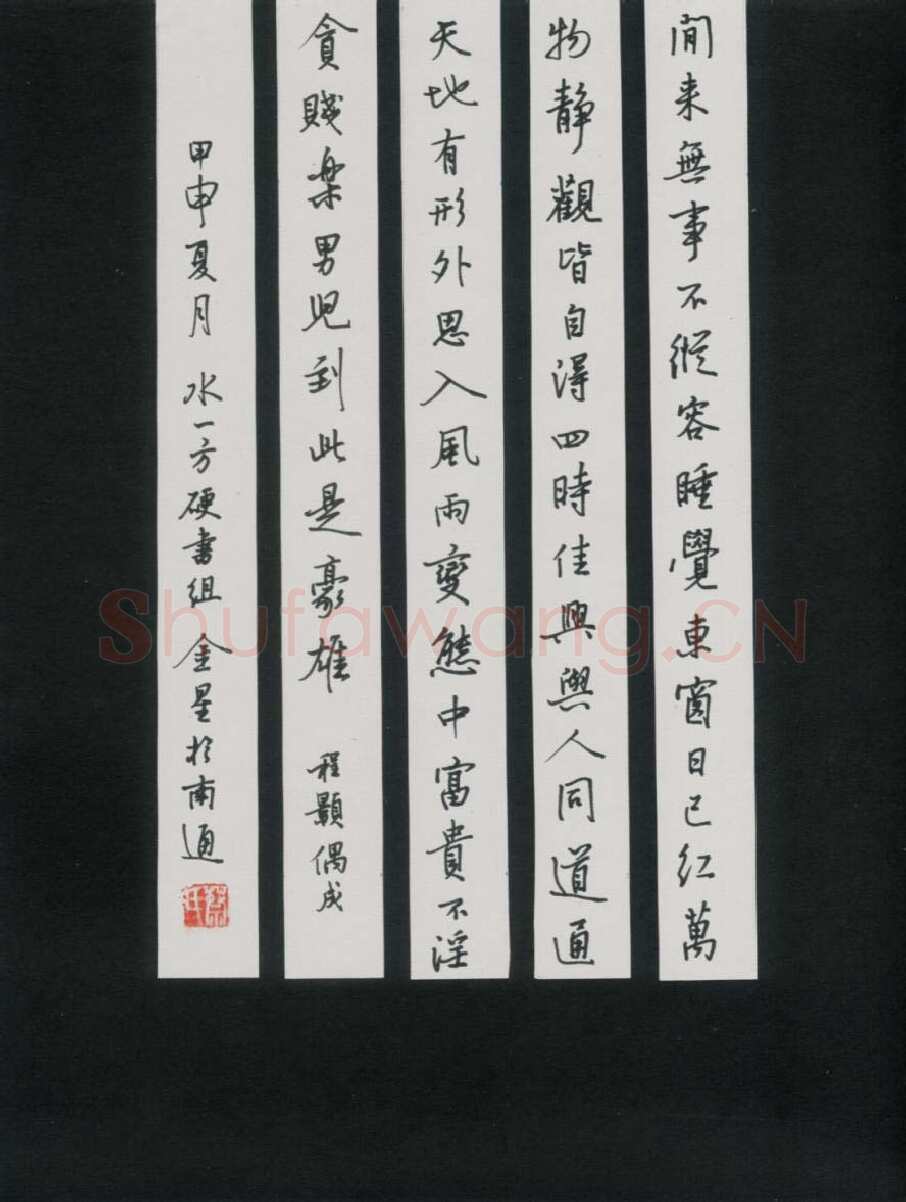 蔡金星硬笔行书程颢诗偶成,蔡金星硬笔书法作品