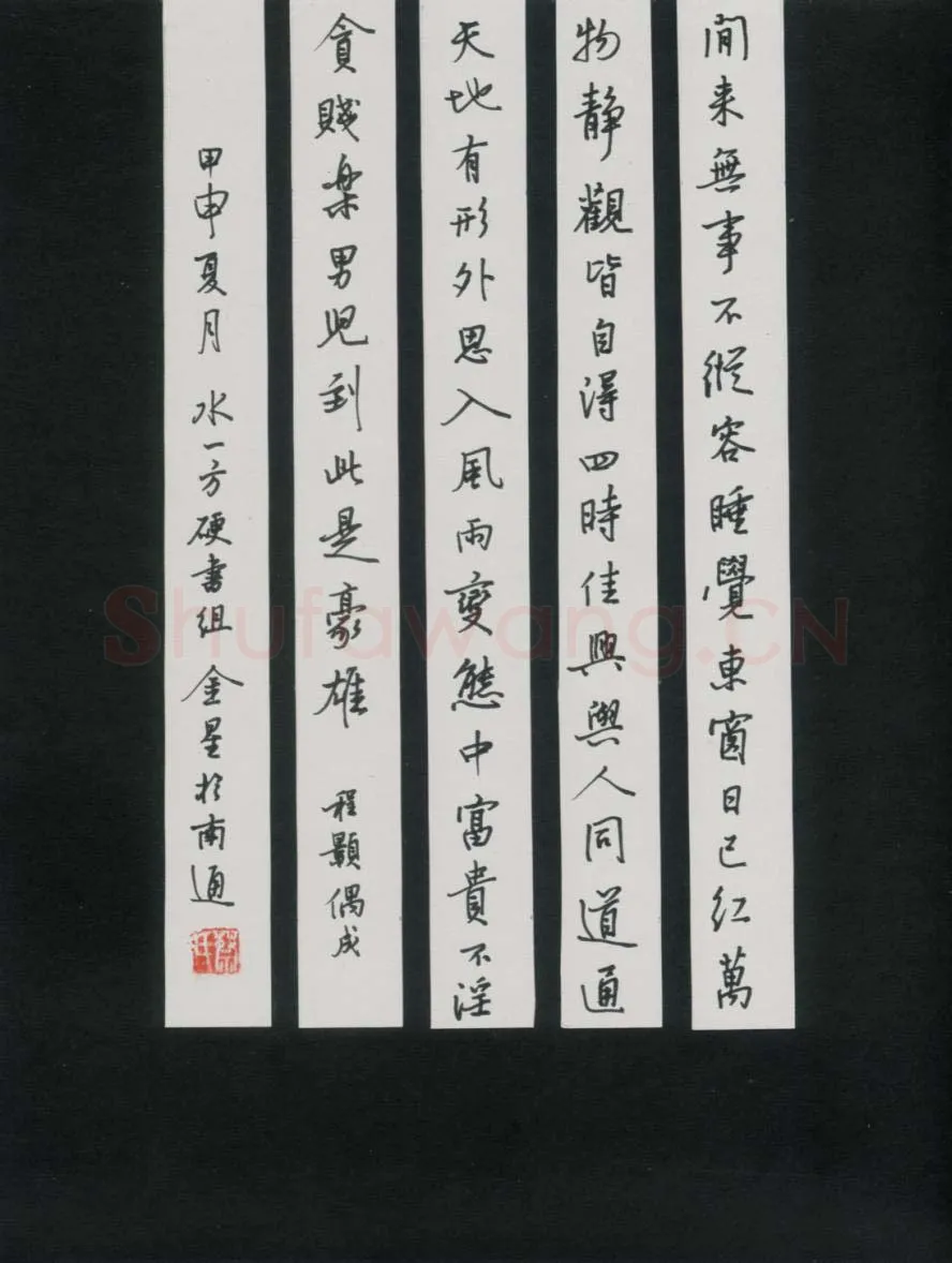 蔡金星硬笔行书程颢诗偶成,蔡金星硬笔书法作品