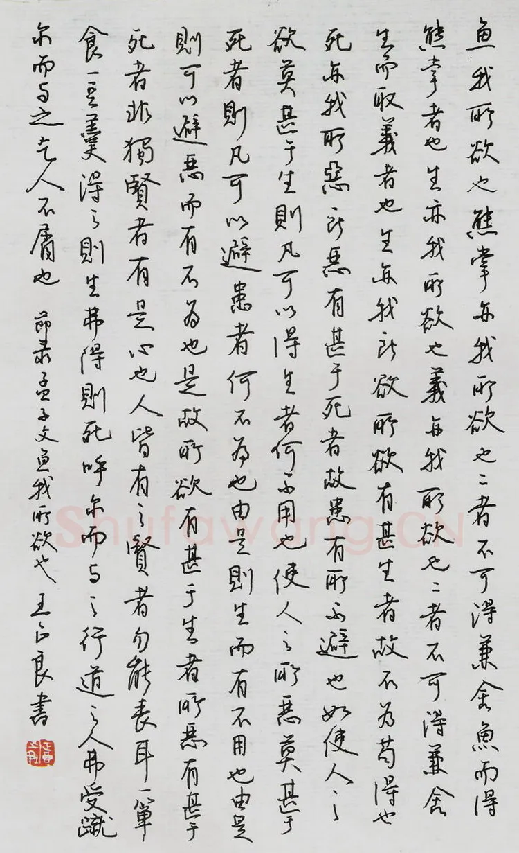 王正良硬笔行书节录孟子文鱼我所欲也,王正良硬笔书法作品