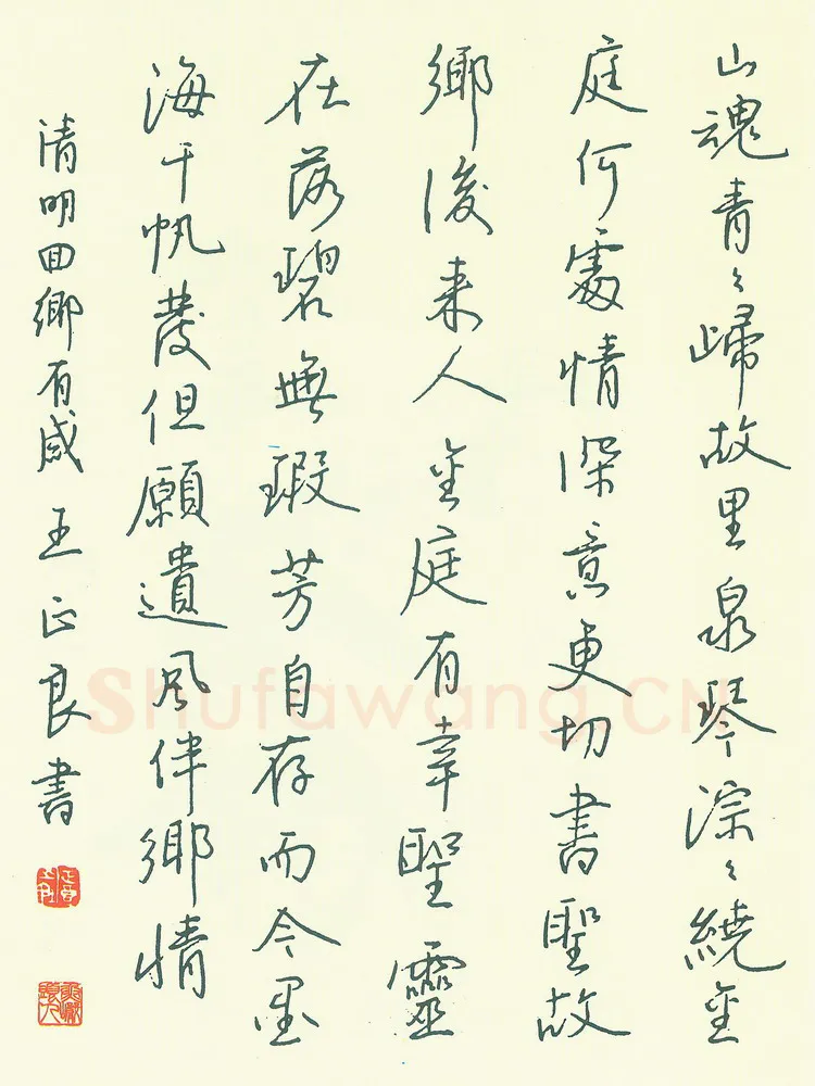 王正良硬笔行书清明回乡有感,王正良硬笔书法作品