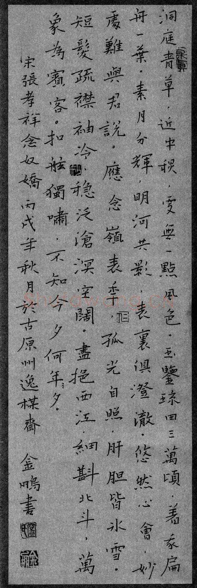 宁金鹏硬笔楷书张孝祥念奴娇,宁金鹏硬笔书法作品