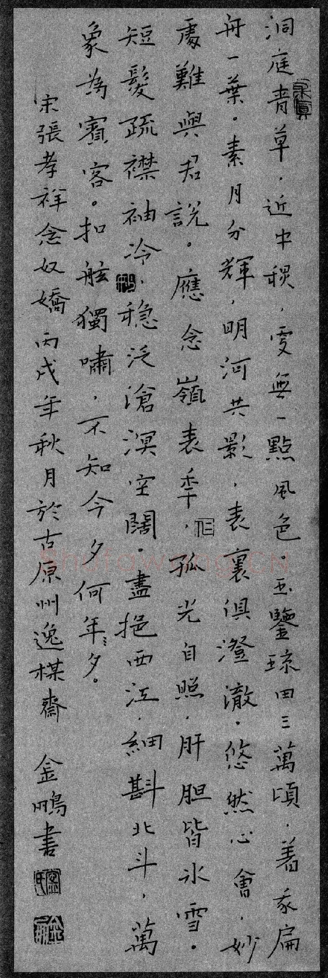 宁金鹏硬笔楷书张孝祥念奴娇,宁金鹏硬笔书法作品