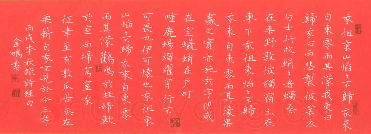 宁金鹏硬笔楷书录诗经句,宁金鹏硬笔书法作品