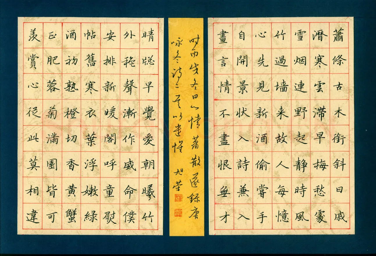 姚旭荣硬笔楷书唐咏冬诗二首,姚旭荣硬笔书法作品