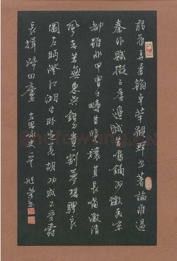 姚旭荣硬笔行书左思咏史一首,姚旭荣硬笔书法作品