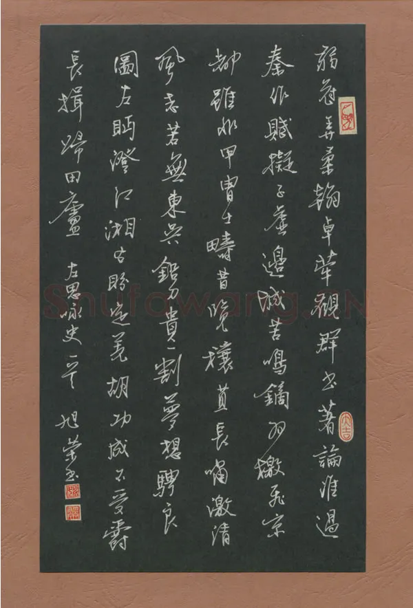 姚旭荣硬笔行书左思咏史一首,姚旭荣硬笔书法作品