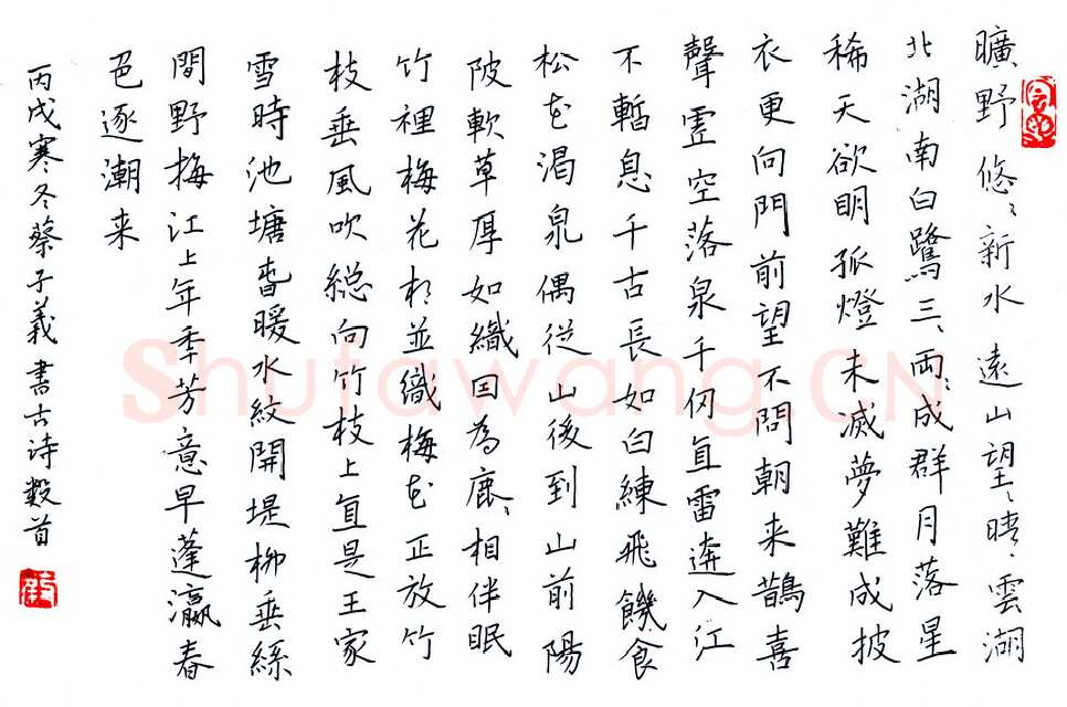 蔡子义硬笔楷书古诗抄,蔡子义硬笔书法作品