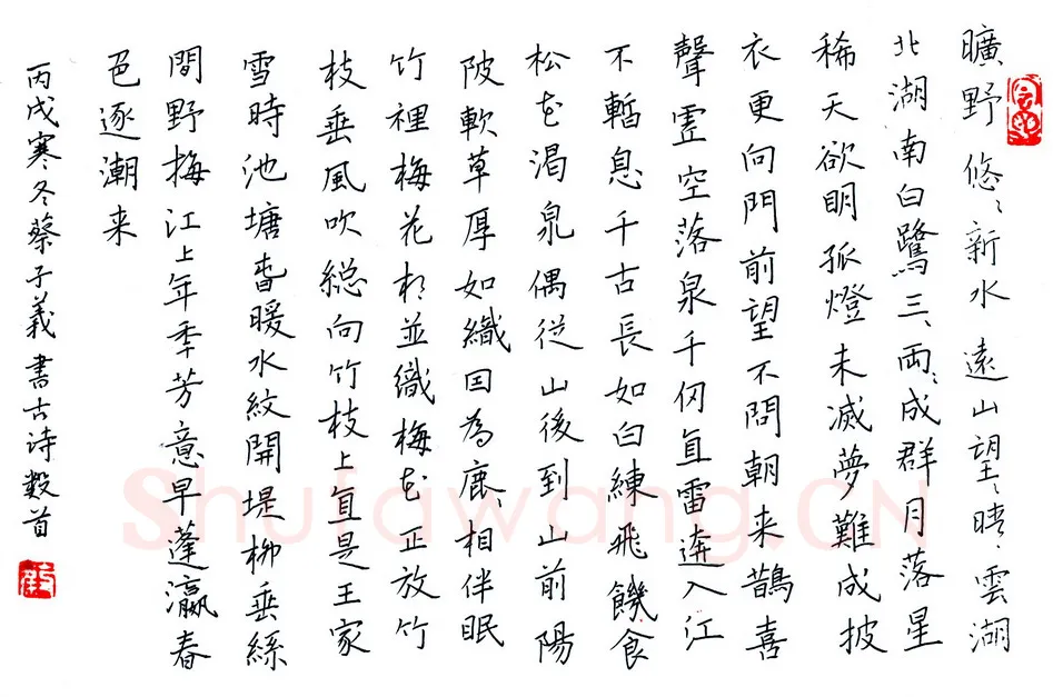 蔡子义硬笔楷书古诗抄,蔡子义硬笔书法作品