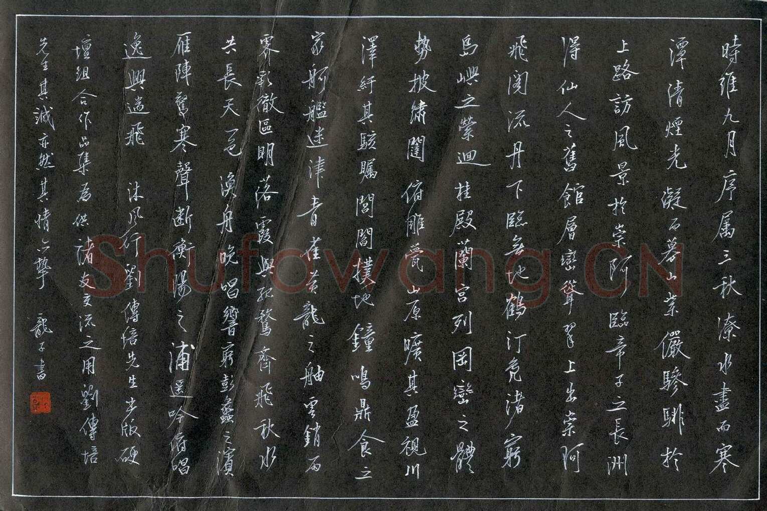 龙定波硬笔行书滕王阁序节录,龙定波硬笔书法作品