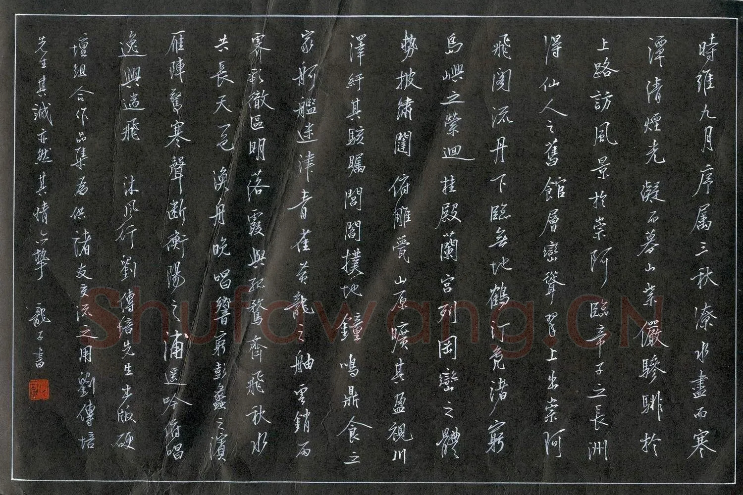 龙定波硬笔行书滕王阁序节录,龙定波硬笔书法作品