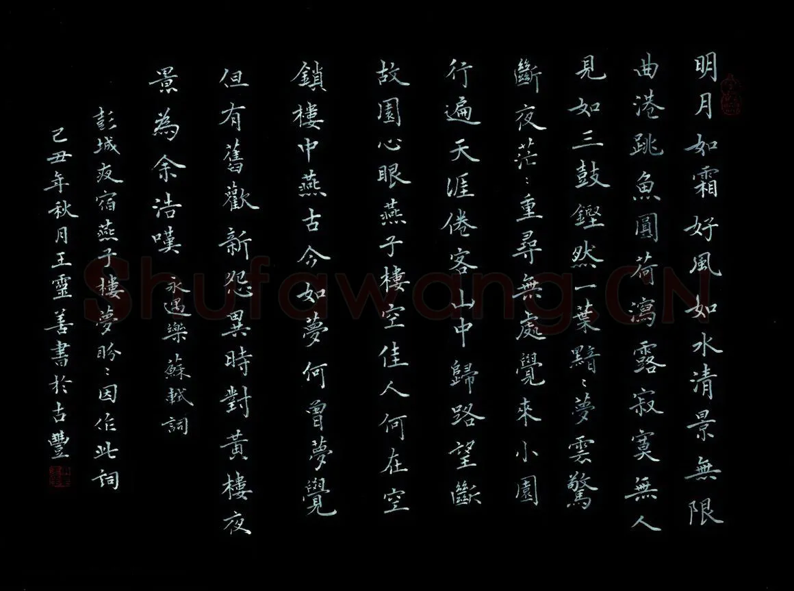 王灵善硬笔楷书地球之歌,王灵善硬笔书法作品