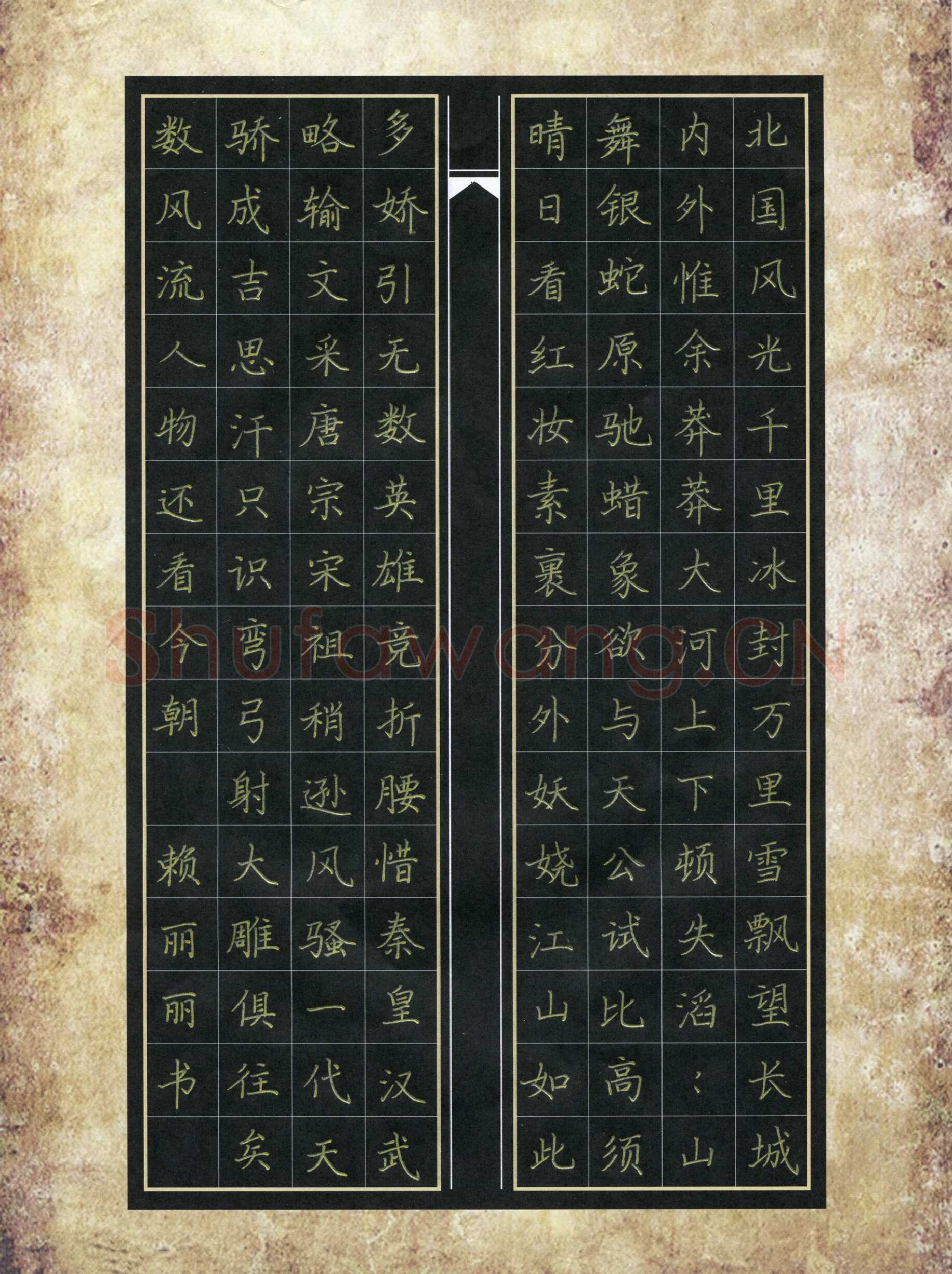 赖丽丽硬笔楷书毛泽东词一首,赖丽丽硬笔书法作品