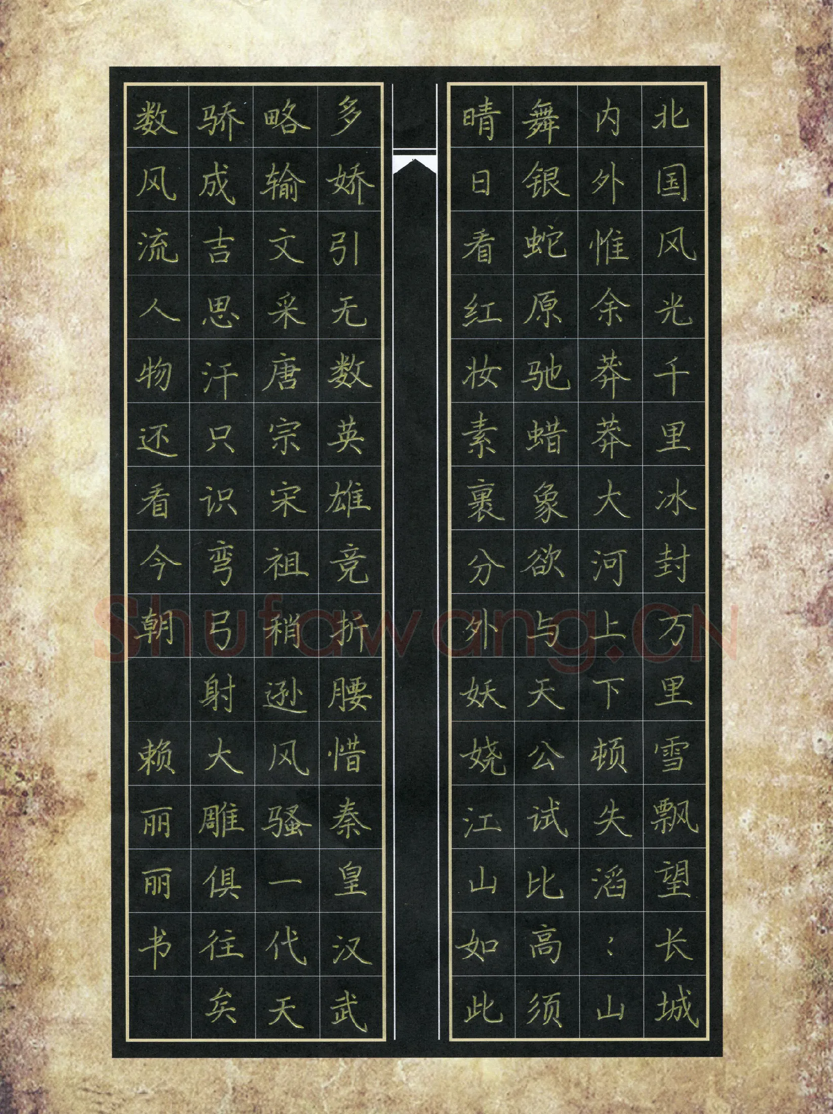 赖丽丽硬笔楷书毛泽东词一首,赖丽丽硬笔书法作品