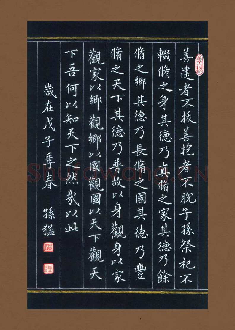 孙猛硬笔楷书道德经,孙猛硬笔书法作品