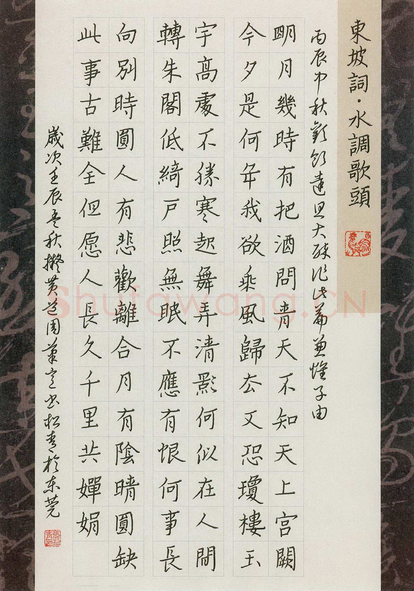 张松青硬笔楷书苏轼词水调歌头,张松青硬笔书法作品