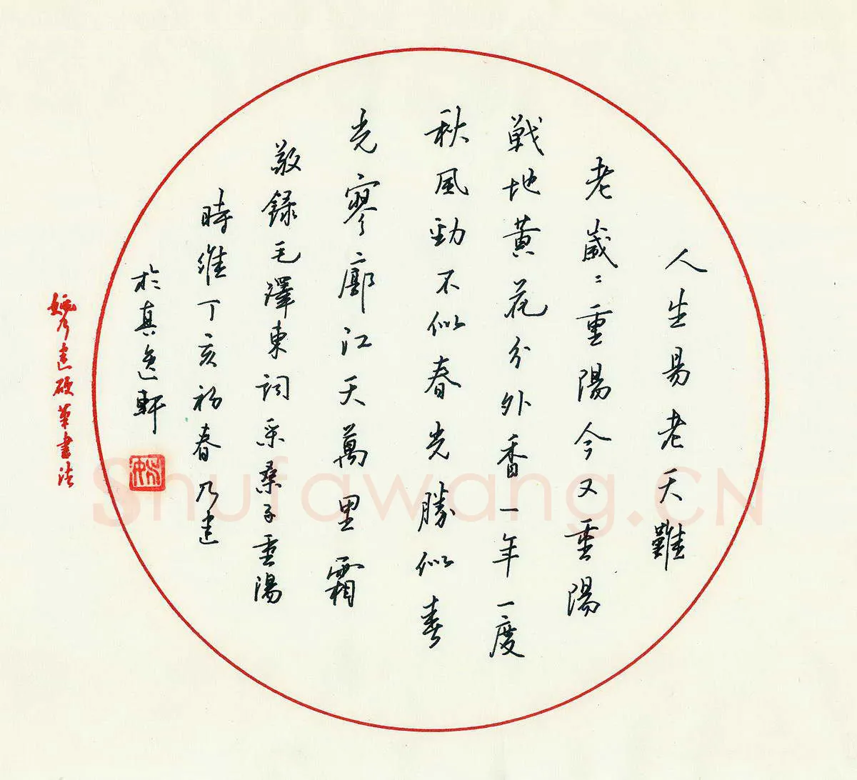 姚乃建硬笔行书毛泽东诗采桑子重阳一首,姚乃建硬笔书法作品