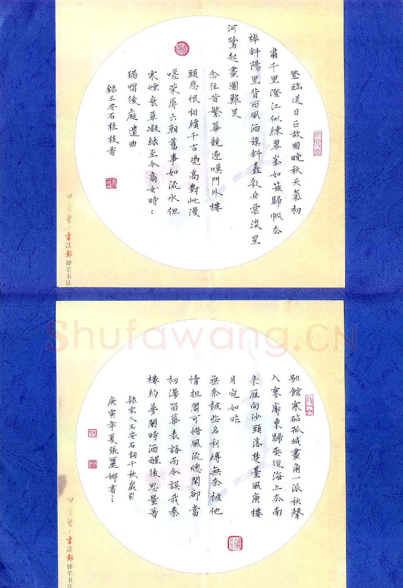 张丽娜硬笔楷书王安石词二首,张丽娜硬笔书法作品