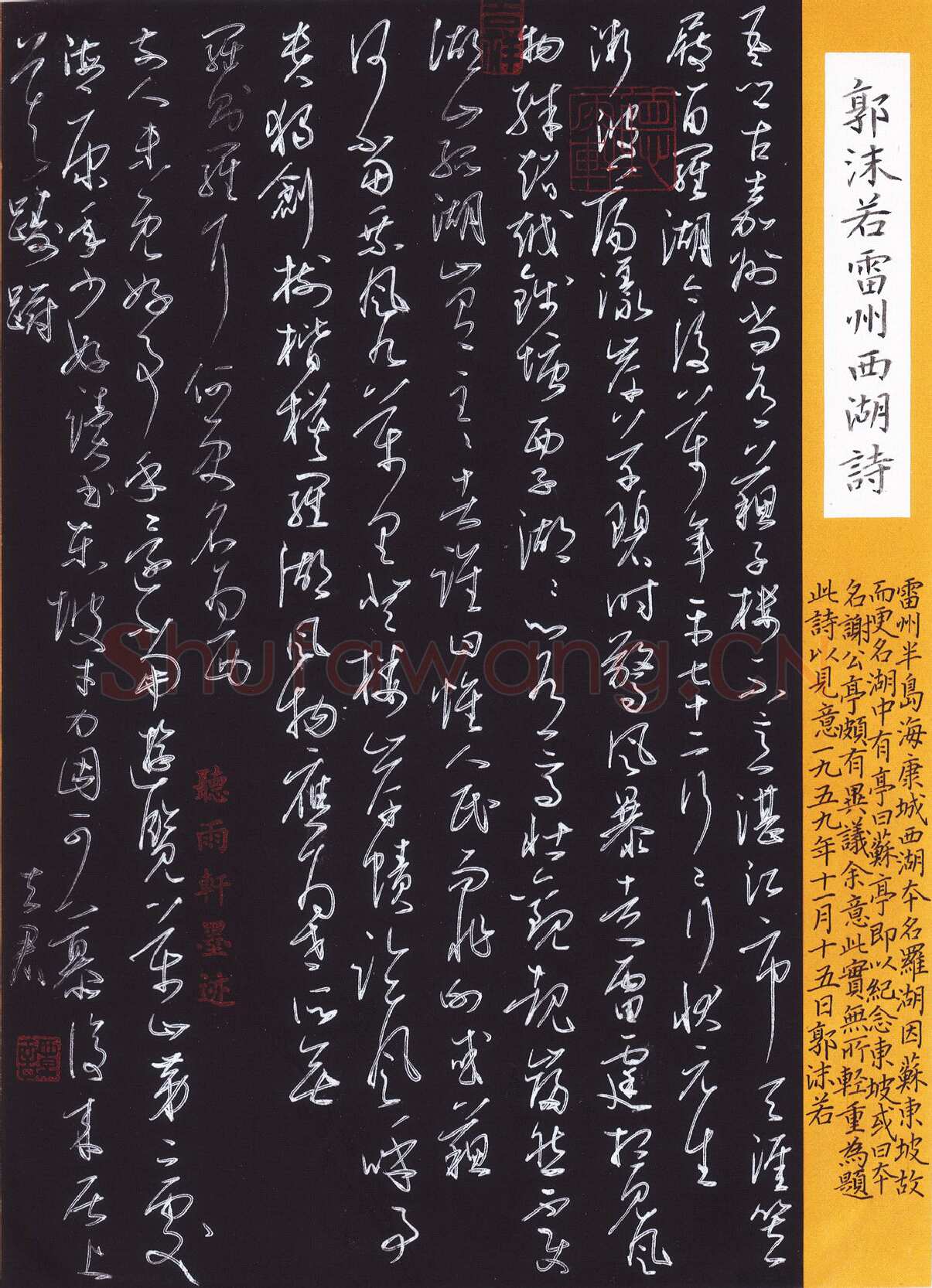 谭立军硬笔行草郭沫若雷州西湖诗,硬笔书法作品