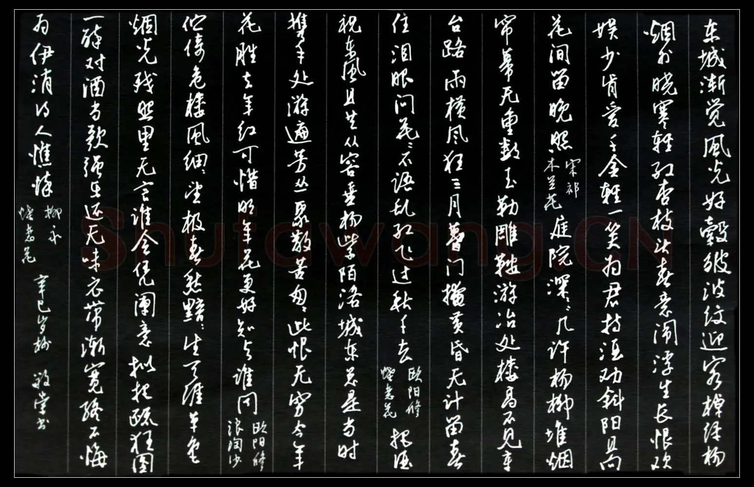 蔡敬崇硬笔行书宋词四首,硬笔书法作品