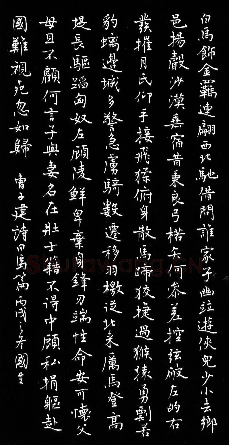 唐国生硬笔楷书曹子建诗白马篇,唐国生硬笔书法作品