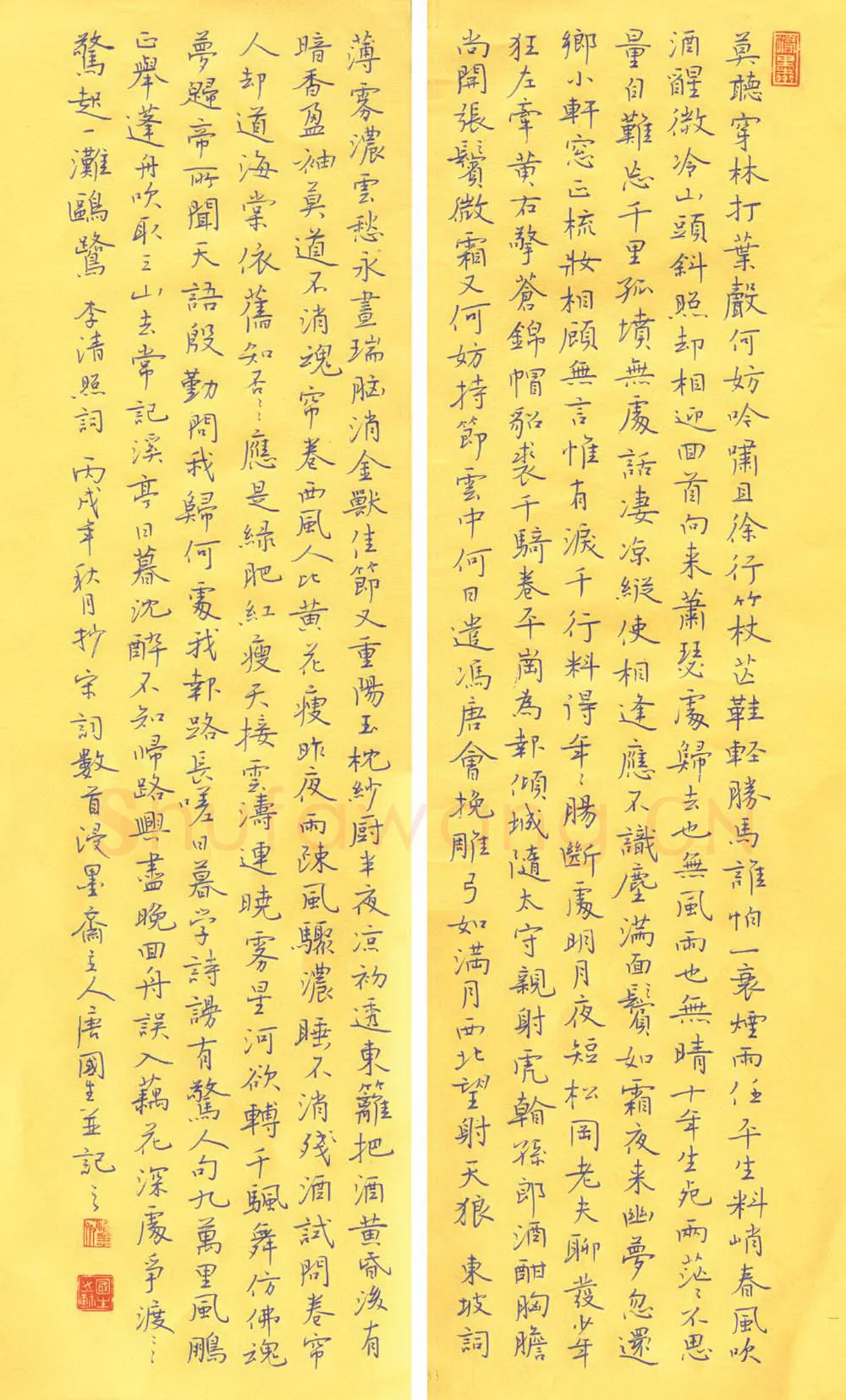 唐国生硬笔楷书宋词,唐国生硬笔书法作品