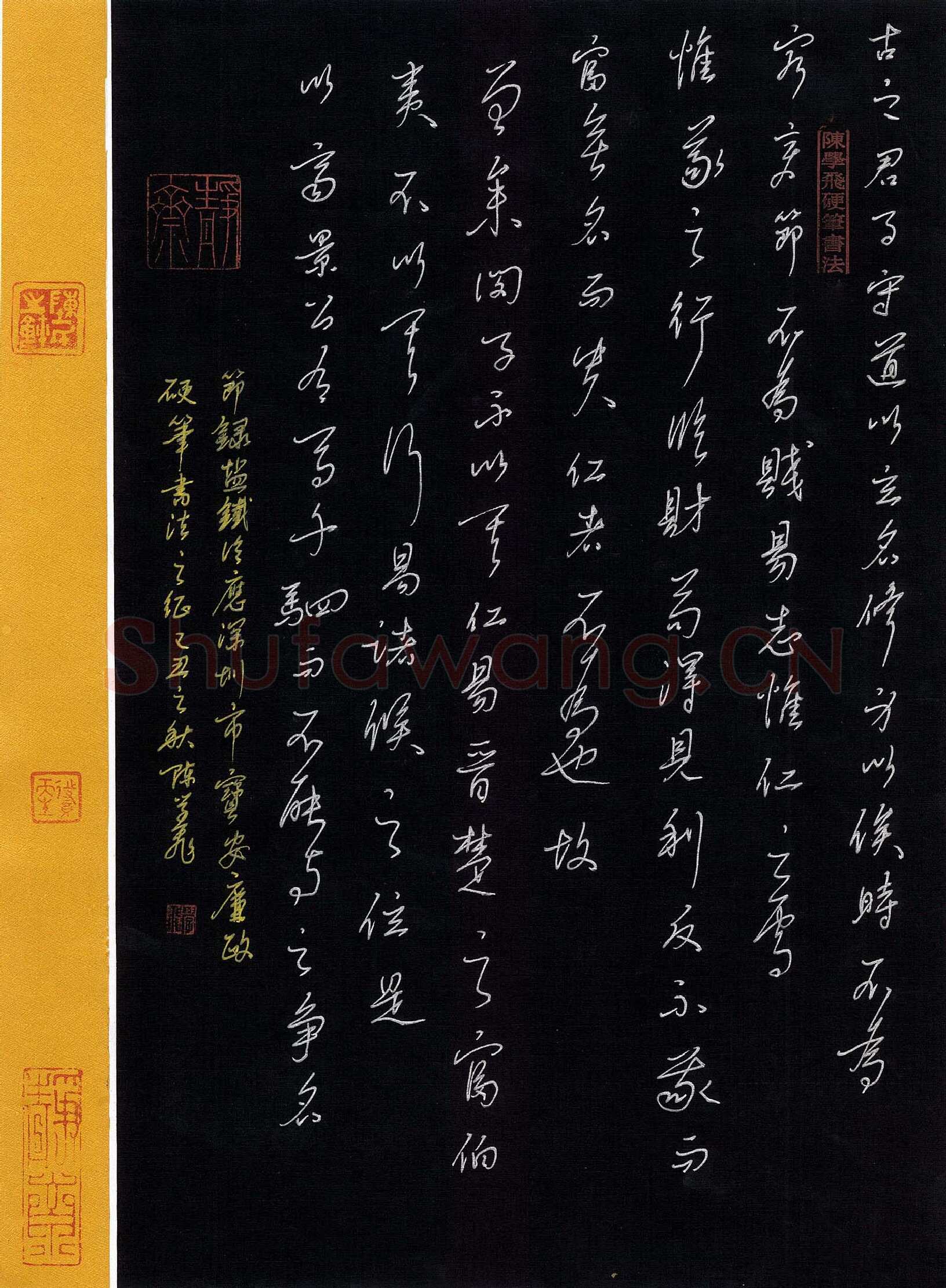 陈学飞硬笔行书节录盐铁论,硬笔书法作品