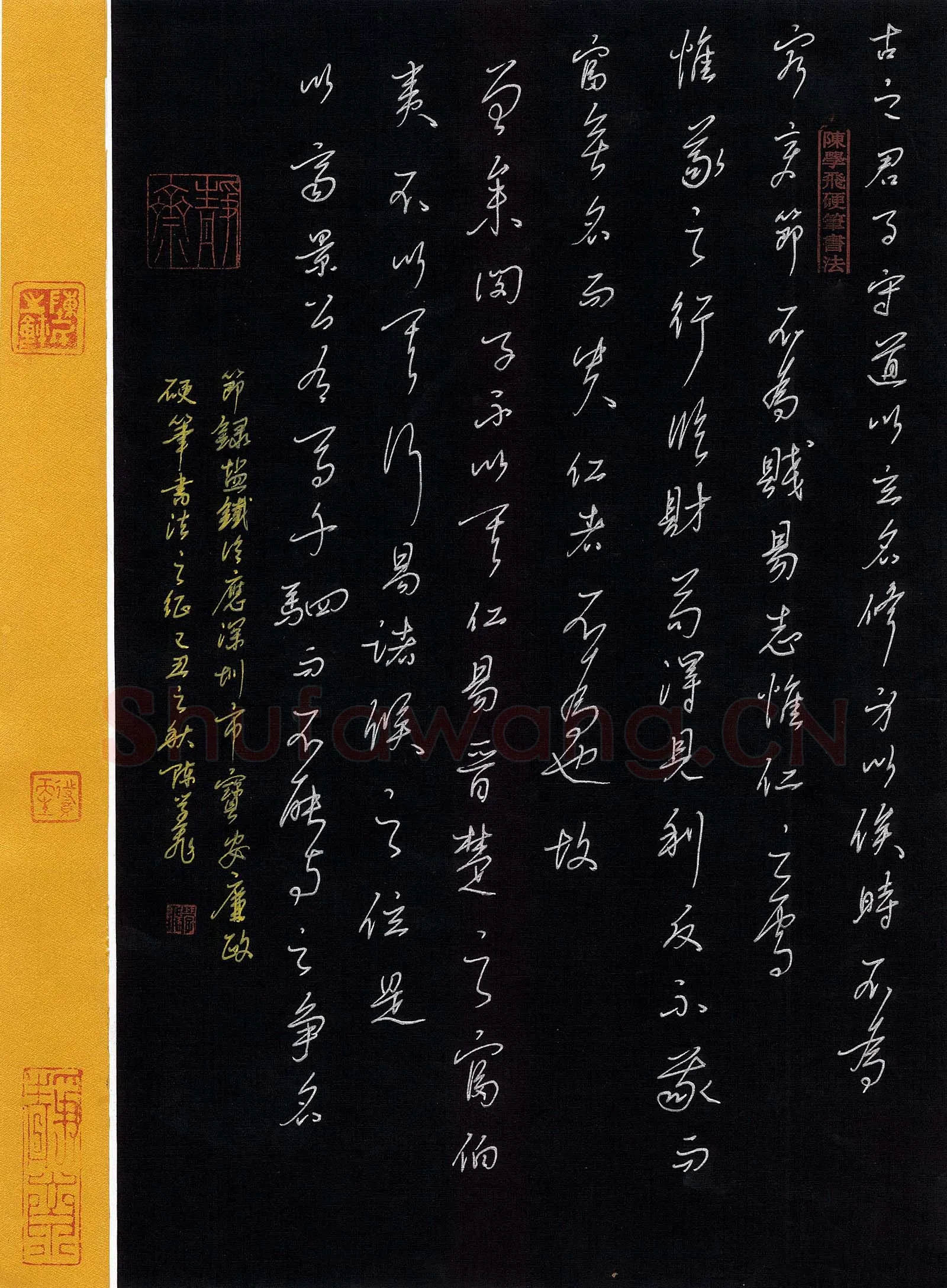 陈学飞硬笔行书节录盐铁论,硬笔书法作品