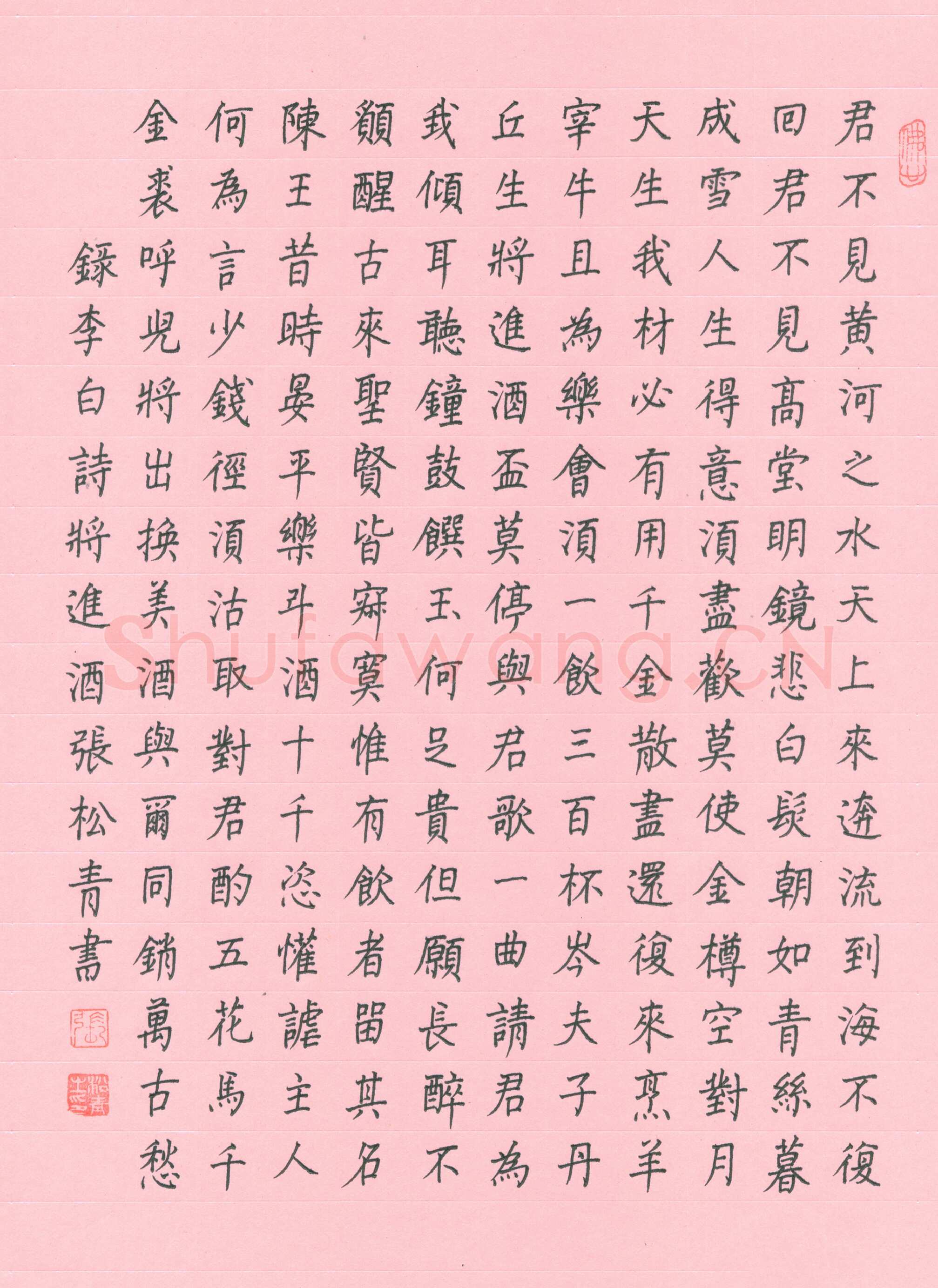 张松青硬笔楷书李白诗将进酒,张松青硬笔书法作品