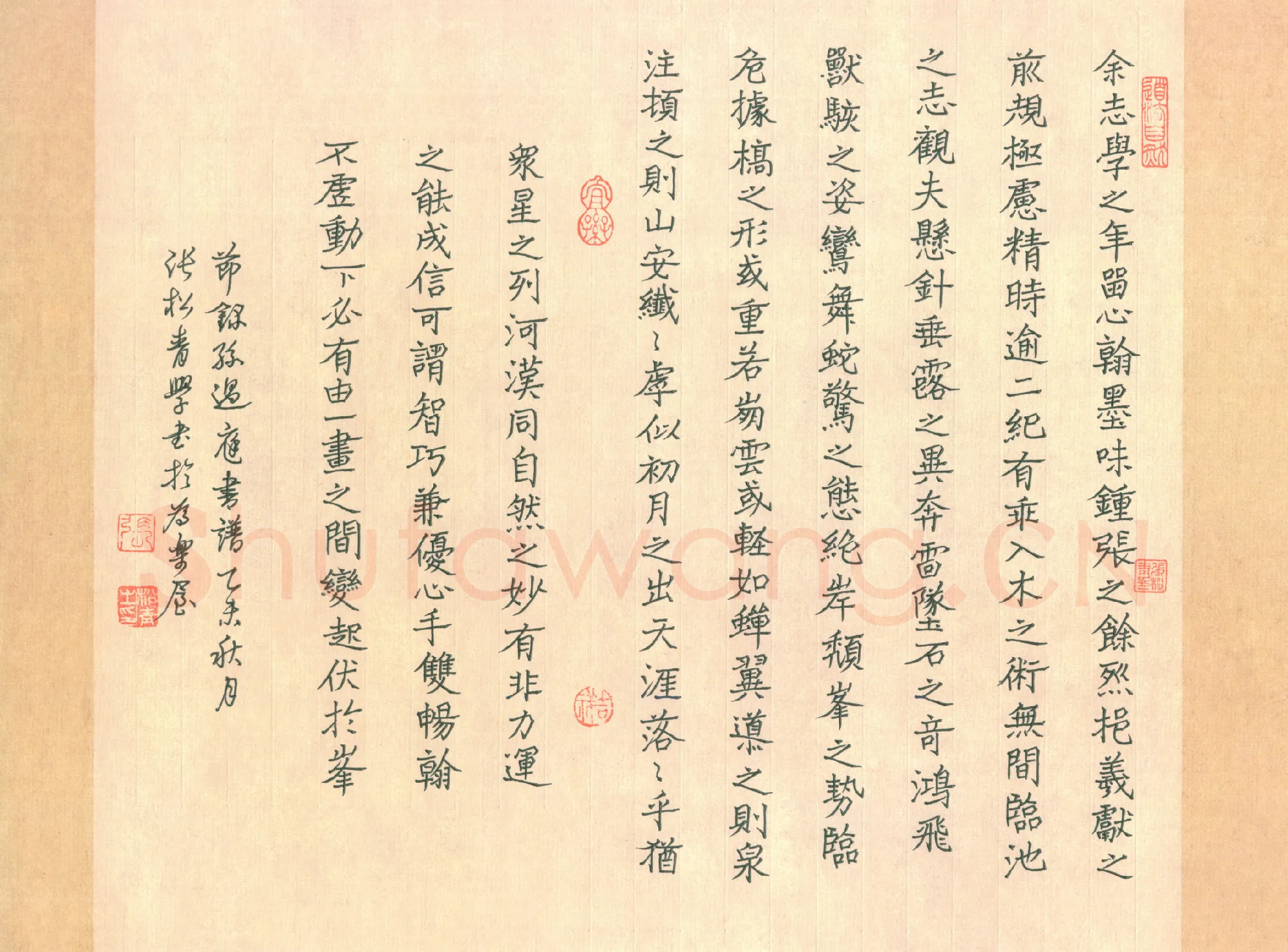 张松青硬笔楷书节录孙过庭书谱,张松青硬笔书法作品