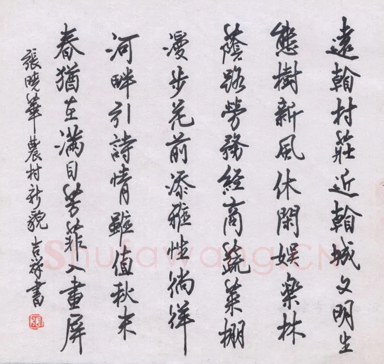 张吉祥硬笔行书张晓华农村新貌,张吉祥硬笔书法作品