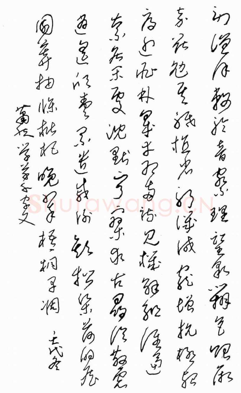 钟妙明硬笔草书千字文,硬笔书法作品