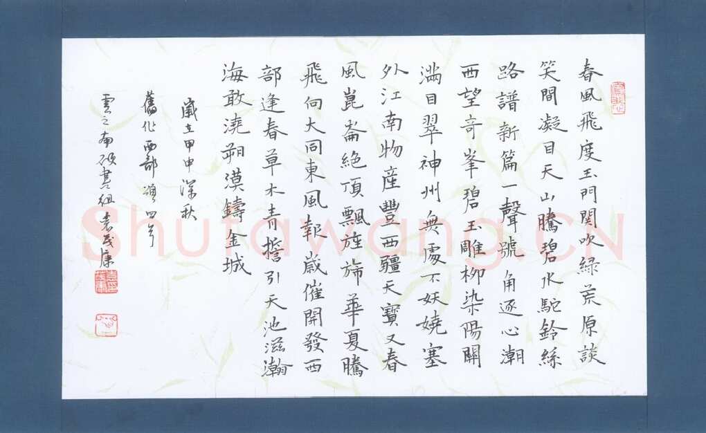 袁茂康硬笔楷书西部颂,袁茂康硬笔书法作品