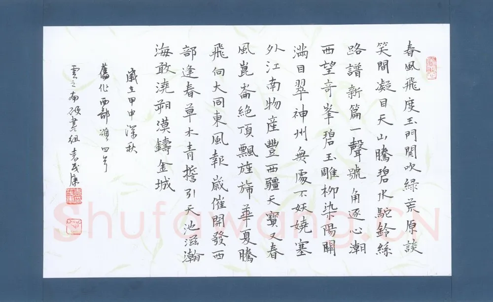 袁茂康硬笔楷书西部颂,袁茂康硬笔书法作品