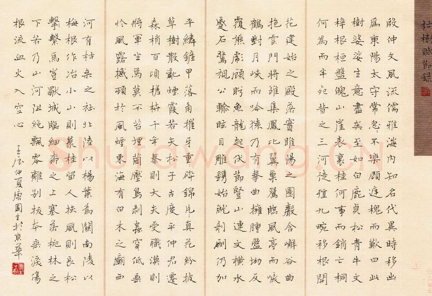 唐国生硬笔楷书枯树赋节录,唐国生硬笔书法作品