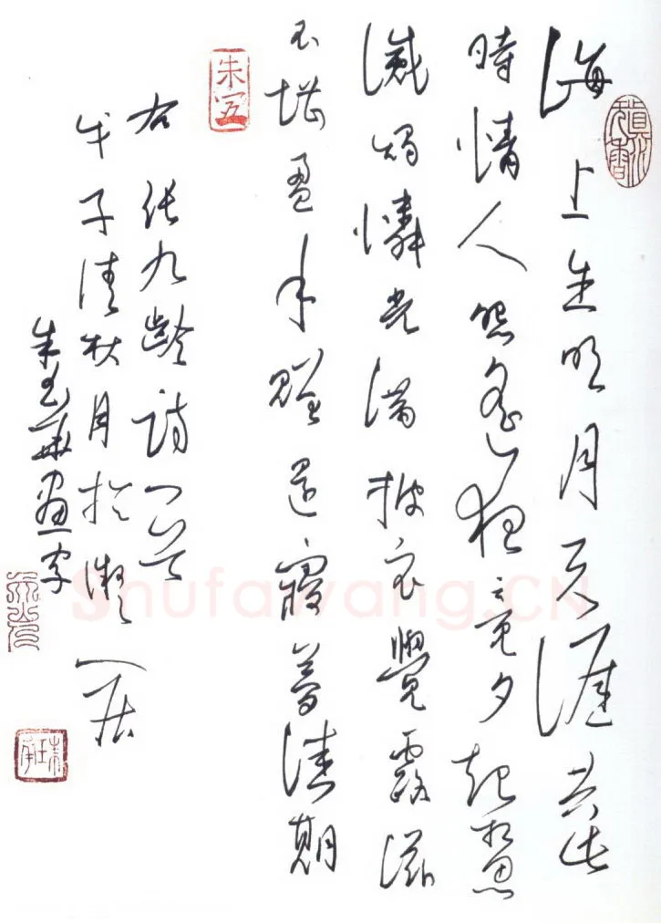 朱玉华硬笔行草张九龄诗一首,朱玉华硬笔书法作品