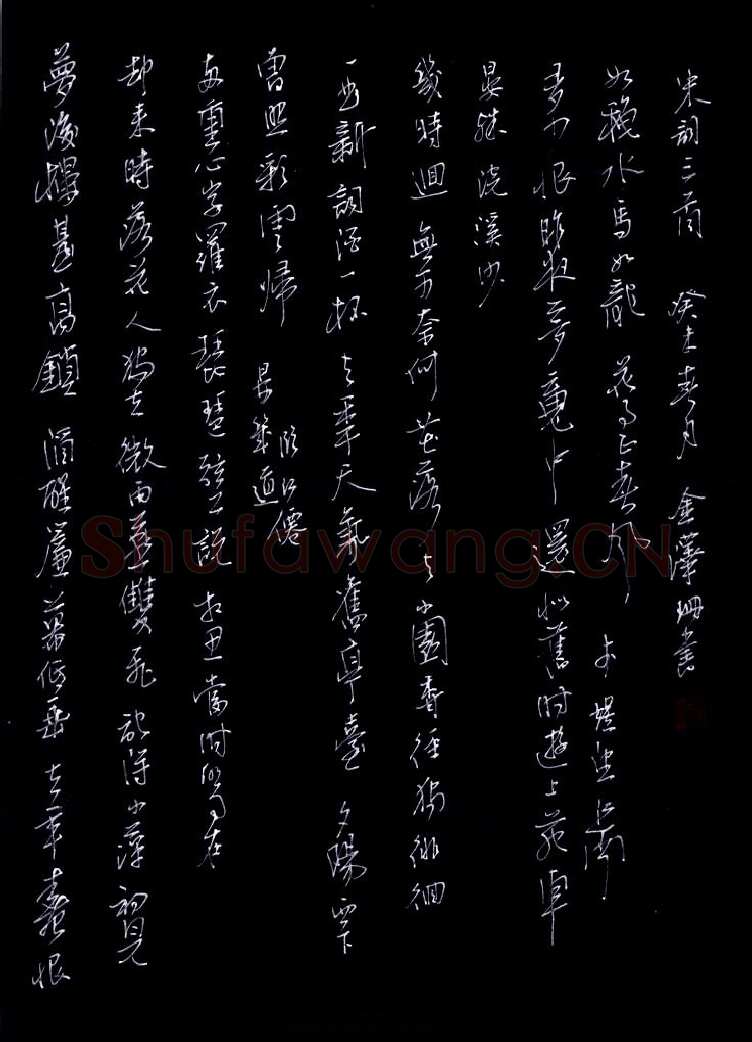 金泽珊硬笔行草宋词三首,金泽珊硬笔书法作品